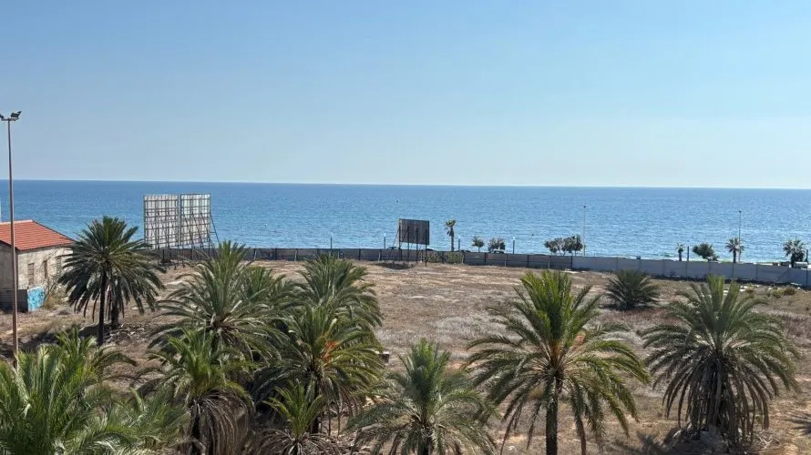 Apartamento de 1 dormitorio en Torrevieja, Spain No. 233 № 8