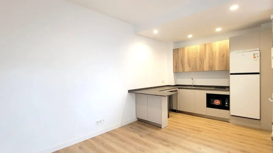 Apartamento de 1 dormitorio en Madrid, Spain No. 598