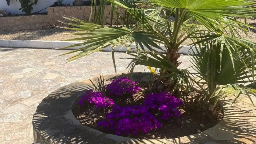 Villa de 4 dormitorios en Albir, Spain No. 586 № 11