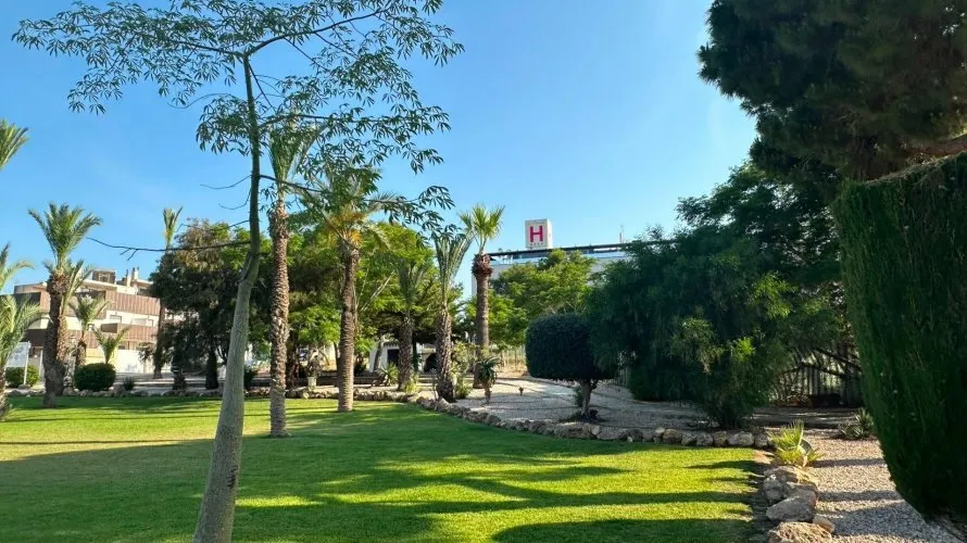 Apartamento de 1 dormitorio en Torrevieja, Spain No. 2246