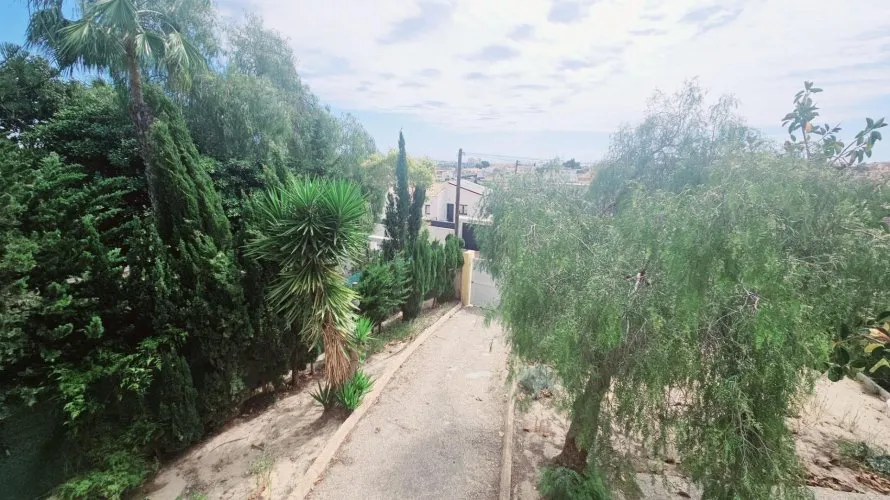 Apartamento de 4 dormitorios en Torrevieja, Spain No. 1093 № 3
