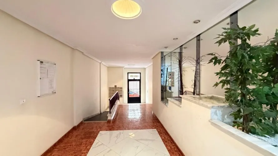 Apartamento de 1 dormitorio en Torrevieja, Spain No. 2119