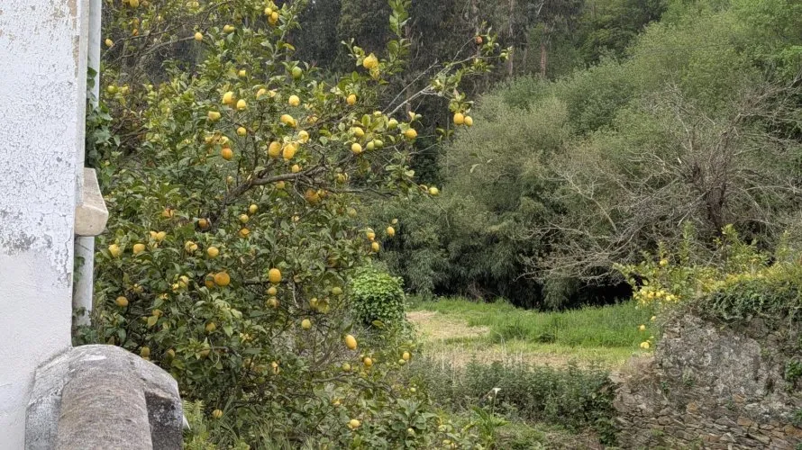 Сasa de 100m² en Cudillero, Spain No. 2174 № 13