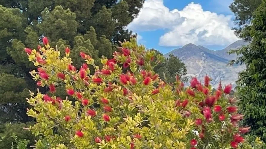 Villa de 3 dormitorios en La Alberca, Spain No. 991 № 27