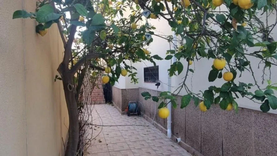 Villa de 4 dormitorios en Los Balcones, Spain No. 959 № 3