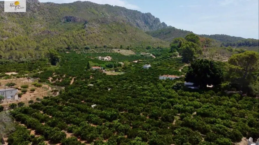 Apartamento de 400m² en Alzira, Spain No. 1283 № 8