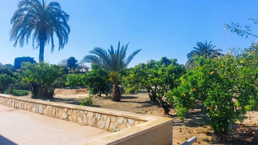 Сasa de 5 dormitorios en La Marina, Spain No. 1241 № 19