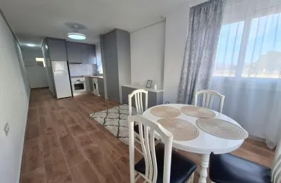 Apartamento de 1 dormitorio en Torrevieja, Spain No. 2642