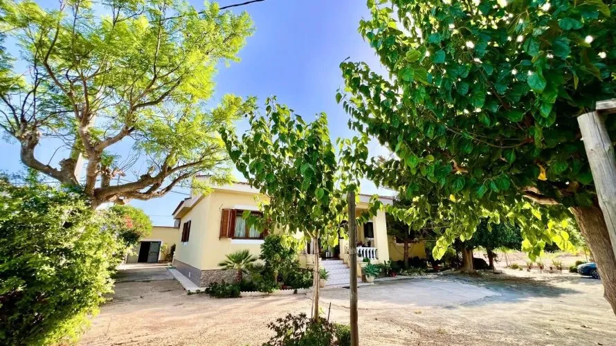 Villa de 3 dormitorios en Daya Vieja, Spain No. 2538 № 22