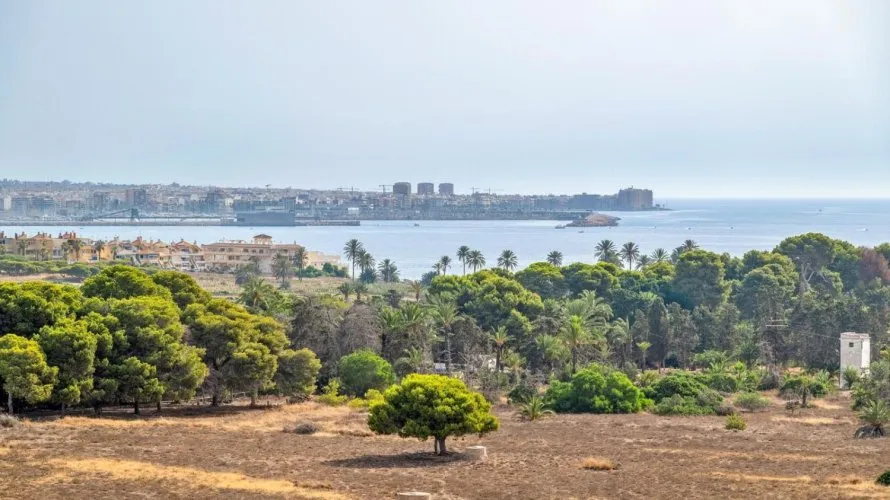 Ático de 75m² en Torrevieja, Spain No. 2869 № 3