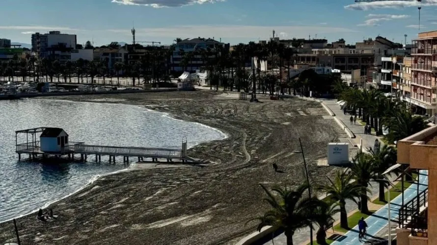 Apartment de 3 chambres à San Pedro del Pinatar, Spain No. 784 № 18