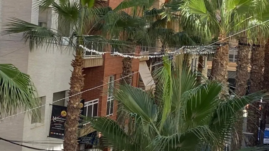 Apartment de 4 chambres à Torrevieja, Spain No. 781 № 12