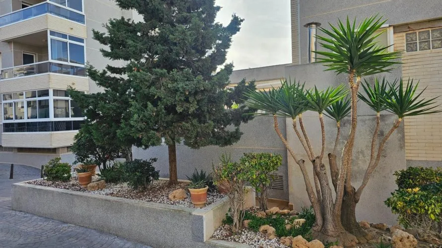 Apartment de 2 chambres à Torreblanca, Spain No. 945 № 25
