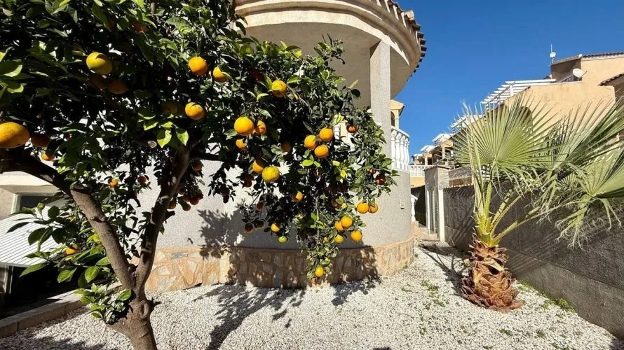 Villa de 4 chambres à Playa Flamenca II, Spain No. 169 № 13