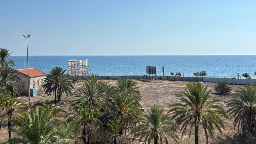 Apartment de 1 chambre à Torrevieja, Spain No. 233 № 6