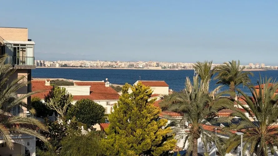 Apartment de 3 chambres à Torrevieja, Spain No. 231 № 27