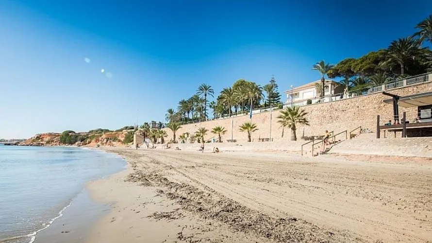 Villa de 4 chambres à Torrevieja, Spain No. 442 № 12