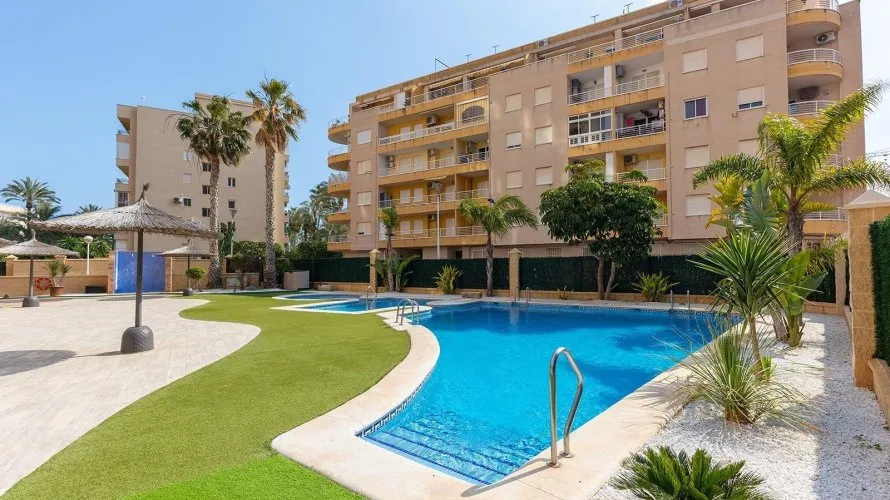 Apartment de 1 chambre à Torrevieja, Spain No. 82 № 25