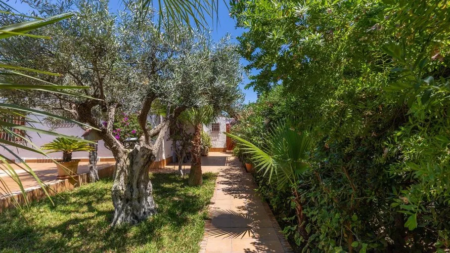 Villa de 4 chambres à Alicante, Spain No. 746 № 18