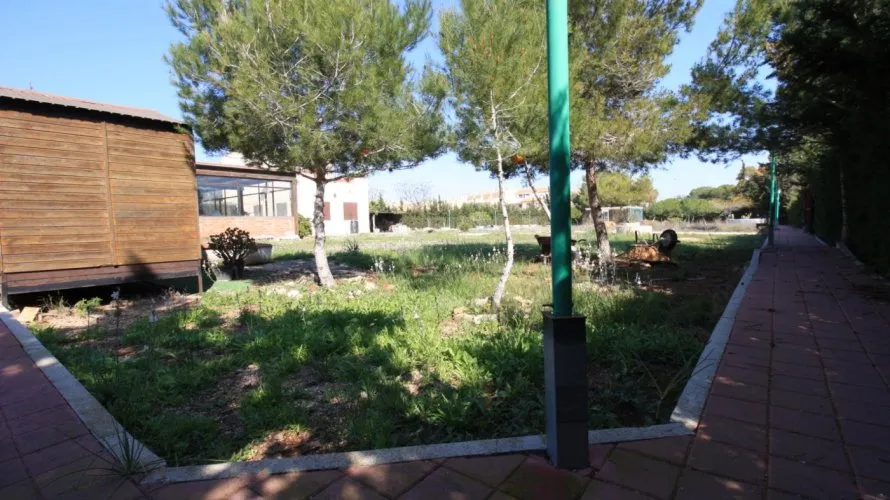 Apartment de 2 chambres à Campoamor, Spain No. 264 № 7