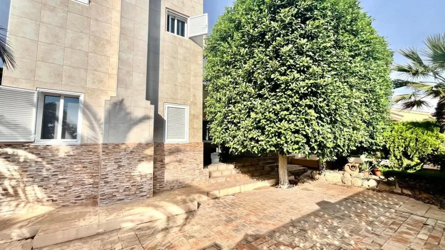 Villa de 4 chambres à Torrevieja, Spain No. 229 № 6
