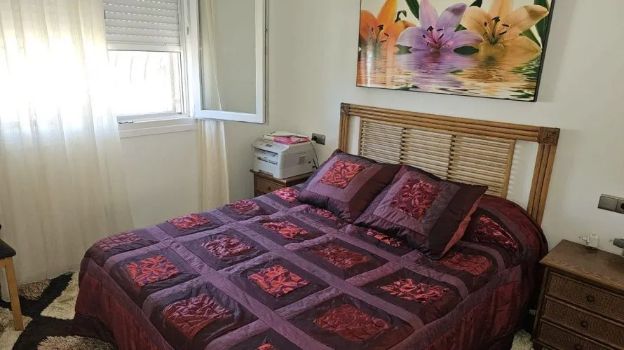 Villa de 3 chambres à Benijofar, Spain No. 241 № 11