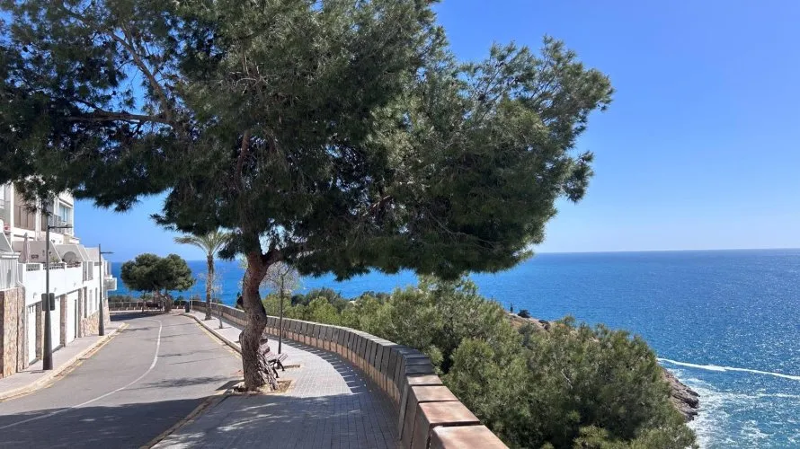 Apartment de 1 chambre à Benidorm, Spain No. 891 № 8