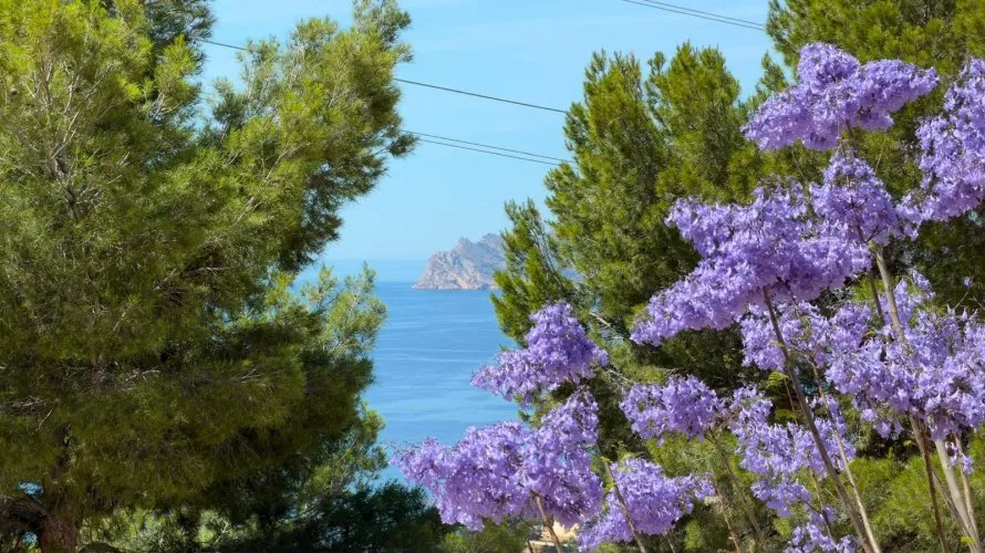 Apartment de 3 chambres à Zona Altea Hills, Spain No. 1128 № 5