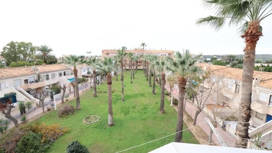 Apartment de 1 chambre à Cabo Roig, Spain No. 2114 № 4
