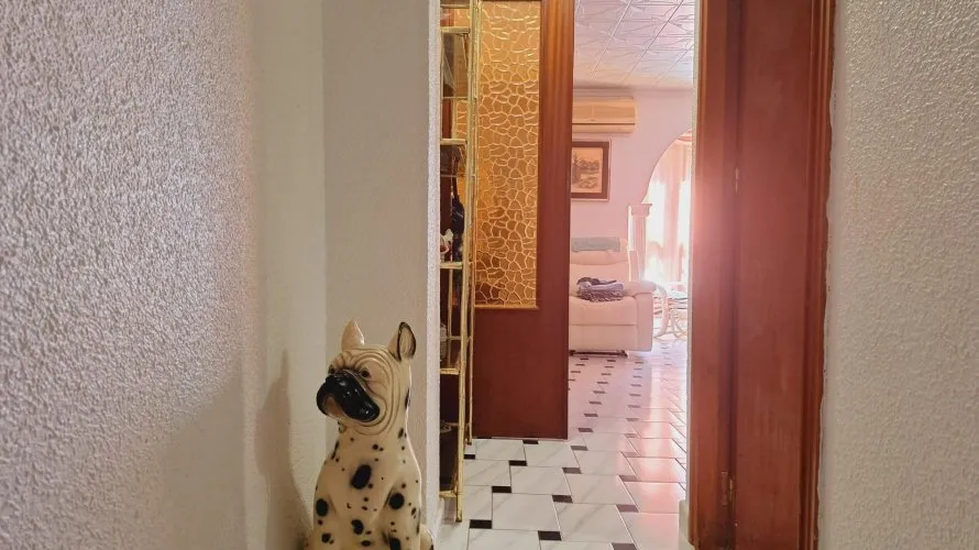 Apartment de 1 chambre à Torrevieja, Spain No. 2123 № 5