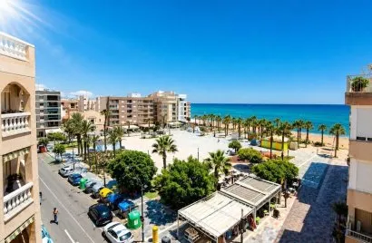 Apartment de 1 chambre à La Mata, Spain No. 2237