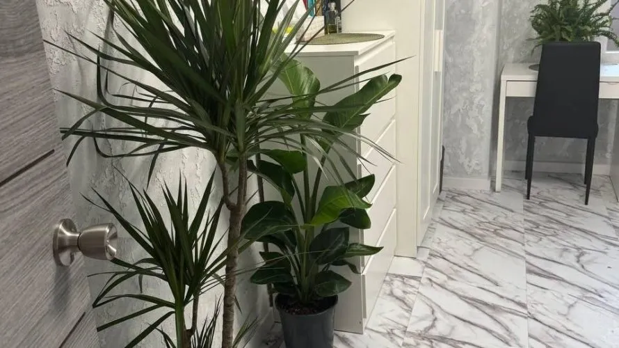 Apartment de 1 chambre à Mislata, Spain No. 1121 № 17