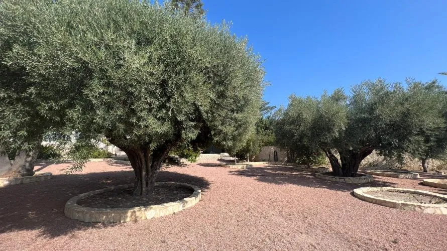Villa de 236m² à Rojales, Spain No. 1304 № 5