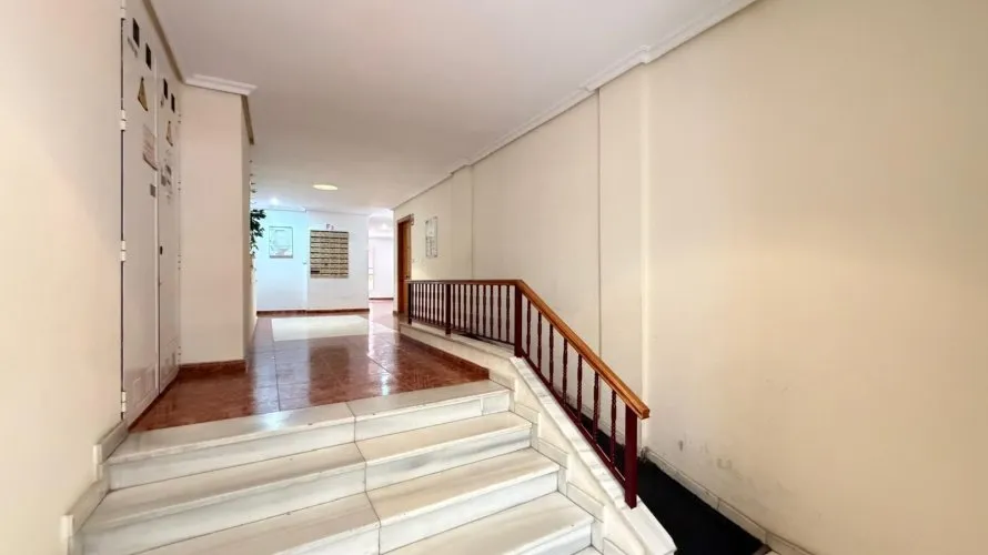 Apartment de 1 chambre à Torrevieja, Spain No. 2119 № 1