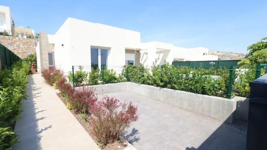 Villa de 3 chambres à Algorfa, Spain No. 1377 № 1
