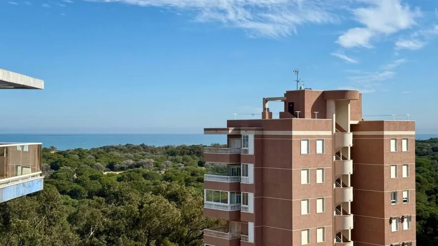Apartment de 3 chambres à Guardamar del Segura, Spain No. 1007 № 15