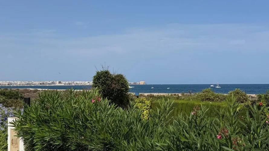 Villa de 4 chambres à Torrevieja, Spain No. 2436 № 18