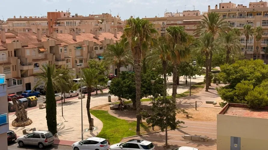 Apartment de 1 chambre à Torrevieja, Spain No. 2449 № 25