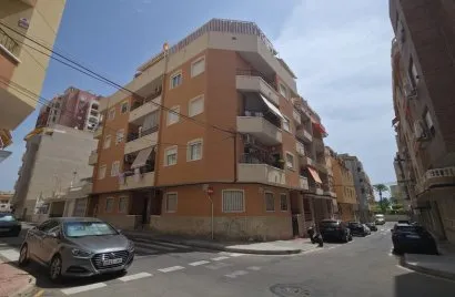 Apartment de 1 chambre à Torrevieja, Spain No. 2380