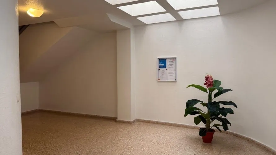 Apartment de 1 chambre à Torrevieja, Spain No. 2470 № 24