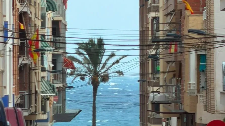 Apartment de 1 chambre à Torrevieja, Spain No. 2658 № 24