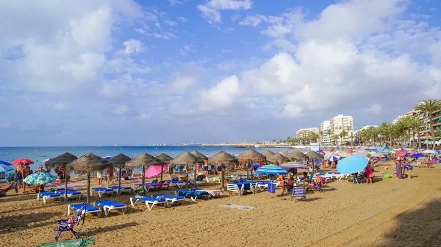 Apartment de 1 chambre à Torrevieja, Spain No. 2492 № 4
