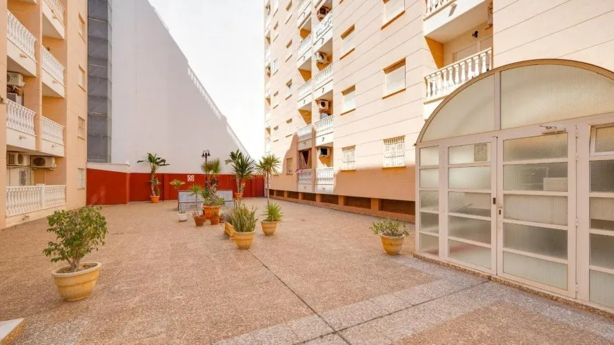 Apartment de 1 chambre à Torrevieja, Spain No. 2506 № 4