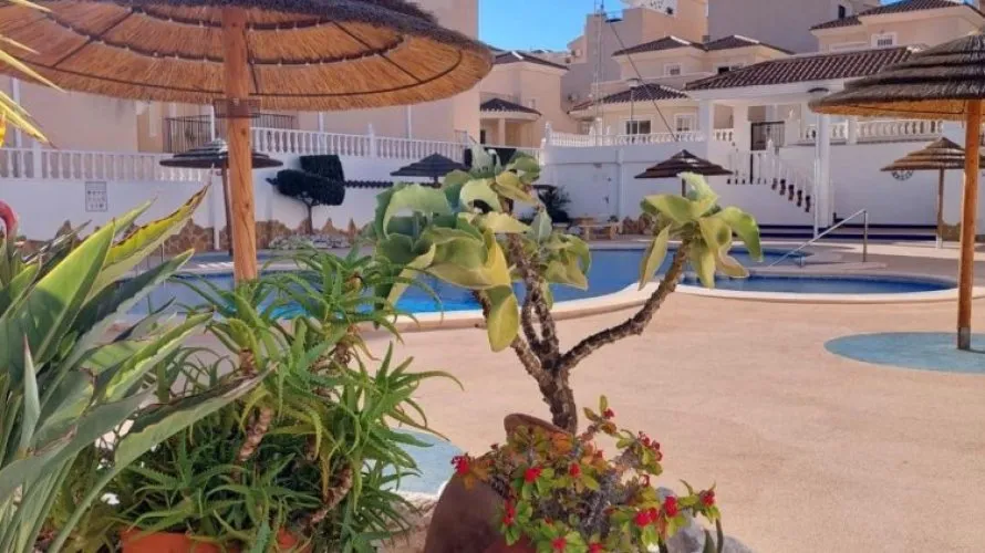 Duplex de 2 chambres à San Miguel de Salinas, Spain No. 2840 № 6