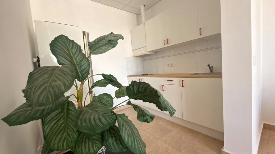 Вилла 384м² в Кальпе, Испания №153 № 8