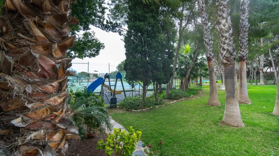 Пентхаус с 2 спальнями в Дехеса де Кампоамор, Испания №1074 № 26