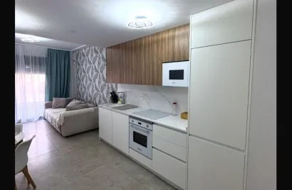 Квартира с 1 спальней в Торревьеха, Испания №1103