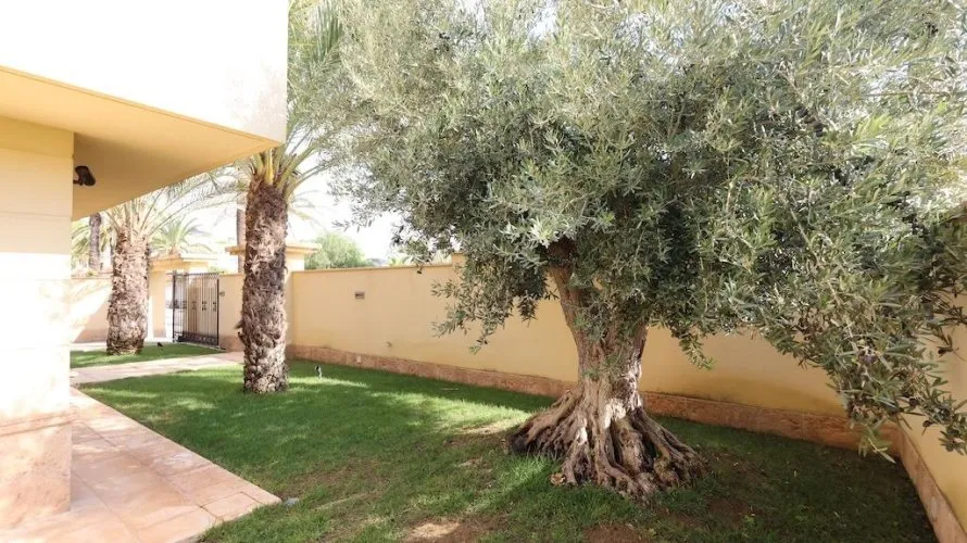 4 bedrooms apartment for sale, Cabo Roig, Spain No. 846 № 26