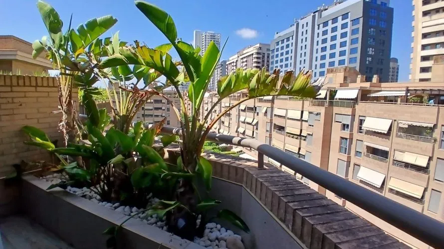3 bedrooms penthouse for sale, Valencia, Spain No. 798 № 9
