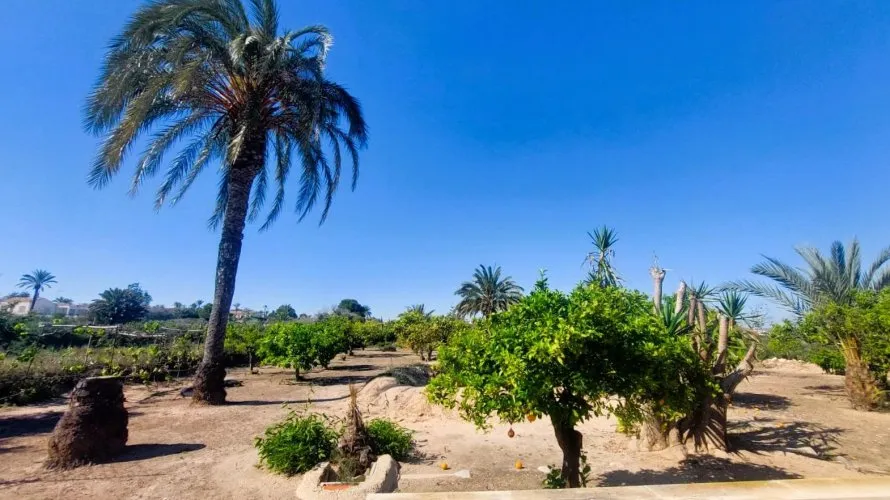5 bedrooms house for sale, La Marina, Spain No. 1241 № 20